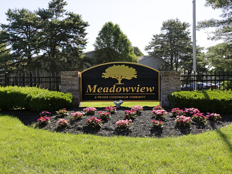 meadowview